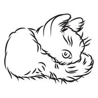 A simple cat in doodle style. illustration isolated on white background. vector