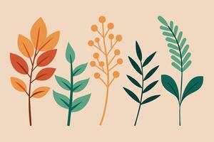 Set of boho black Abstract Hand Drawn Plant Twig with Leaves Botanical Illustration on white background vector