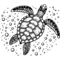 Adult sea turtle floating to surface of water in monochrome. Turtle floating underwater. Simple minimalistic in black ink drawing on white background vector