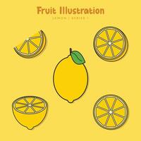 Flat Organic Fruit Label Set Logo and Badge on white background illustration vector