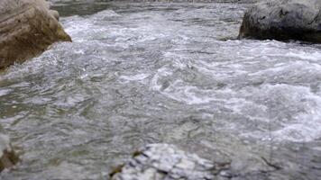 River flowing, rapid water. Stream water environment, mountain stone wet outdoor, running splash dynamic video