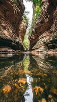 Serene canyon mirrored in a tranquil river with lush greenery. Calm gorge reflected in clear water with plants. Concept of natural beauty, tranquility, outdoor scenery, nature. Vertical photo