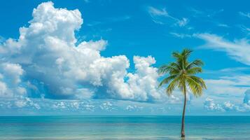 Tropical island beach with a single palm tree. Coastal scenery with a lone palm. Concept of tropical paradise, serene nature, exotic vacation, and coastal relaxation photo