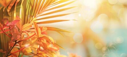 Bright summer tropical background with colorful palm leaves and bokeh effect. Trendy botanical wallpaper with soft colors. Festive mood. Summer vibes. Wide banner. Space for text. Mockup for design photo
