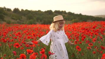 A woman is walking through a field of red poppies video