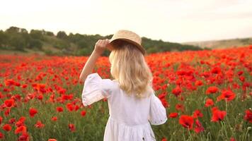 A young girl wearing a straw hat stands in a field of red poppies. The scene is serene and peaceful, with the woman looking up at the sky. video