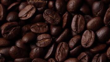 Slow zoom of coffee beans background video