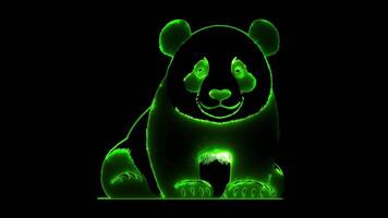 Neon frame effect giant panda, glow, black background. video
