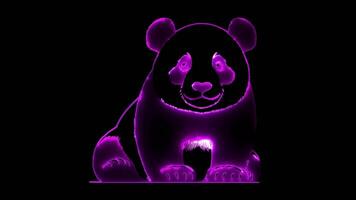 Neon frame effect giant panda, glow, black background. video