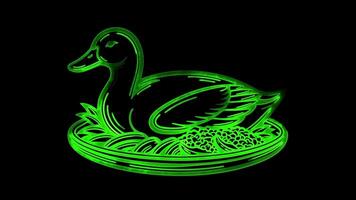 Neon frame effect Peking duck as food, glow, black background. video