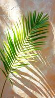 Palm leaf casting a shadow on a textured light wall. Tropical plant against soft backdrop. Bright summer tropical wallpaper. Concept of nature, simplicity. Mockup for design. Copy space. Vertical photo