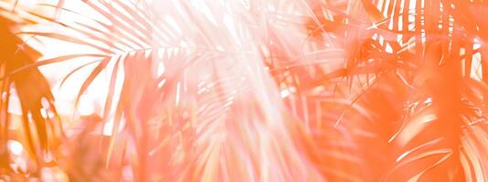 Abstract orange palm leaves with vibrant glow. Intense light diffusing through tropical foliage. Concept of abstract nature. Trendy botanical wallpaper. Wide banner. Copy space. Mockup for design photo
