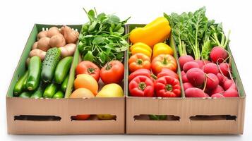 Assorted fresh vegetable boxes with tomatoes, peppers, cucumbers, radishes, spinach, and oranges. Concept of healthy eating, organic produce, farm-to-table, natural food. Isolated on white background photo