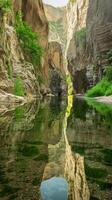 Serene canyon mirrored in a tranquil river with lush greenery. Calm gorge reflected in clear water with vibrant plants. Concept of natural beauty, tranquility, outdoor scenery, nature. Vertical photo