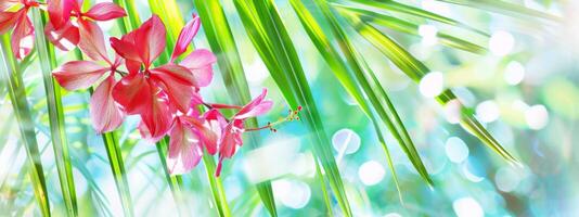 Bright summer tropical floral background with vibrant flowers and lush green palm leaves. Bokeh effect. Colorful botanical wallpaper. Wide banner. Copy space. Mockup for design. Tropical beauty photo