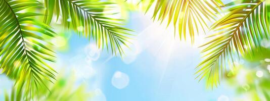 Bright summer tropical backdrop with green pastel palm leaves and bokeh effects. Trendy botanical wallpaper with soft colors. Wide banner. Copy space. Mockup for design photo