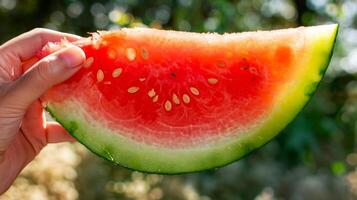 Close-up of a hand holding a slice of watermelon. A person grips a watermelon wedge. Concept of summer fruit, food enjoyment, freshness, and healthy eating photo