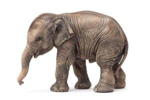 Cute baby Elephant isolated on a white background. Adorable Elephant standing alone. Concept of wildlife, animal portraits, and conservation photo