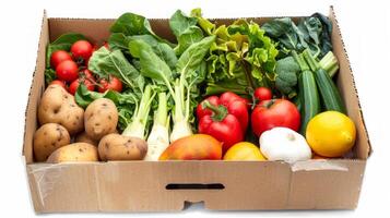 Assorted fresh vegetable boxes with tomatoes, peppers, cucumbers, radishes, spinach, and oranges. Concept of healthy eating, organic produce, farm-to-table, natural food. Isolated on white background photo