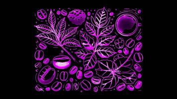 Neon frame effect importance of coffee beans to Colombian culture, glow, black background. video