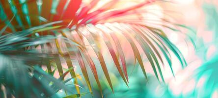 Bright summer tropical backdrop with colorful palm leaves and bokeh effect. Trendy botanical wallpaper with soft colors. Festive mood. Summer vibes. Banner. Copy space. Mockup for design photo
