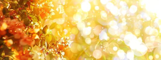 Golden sunlight illuminates vibrant orange flowers with a bokeh effect. Glowing flowers basking in warm light. Concept of golden hour, nature's brilliance, joyful bloom. Banner. Space for text. Mockup photo