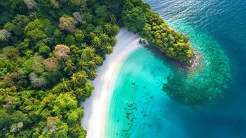 Aerial view of a tropical beach and clear turquoise water. Ideal for travel posters, vacation brochures, and nature blogs. Copy space photo