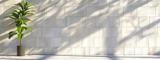 A potted plant with green leaves against a modern light-tiled wall. Minimalist interior decor. Concept of nature, calm, simple design, contemporary. Banner. Copy space. Mockup photo