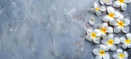 White plumeria flowers showcased on textured backdrop. Bright frangipani arrangement, isolated. Concept of tropical aesthetics, floral art, and striking visual composition. Banner. Copy space photo