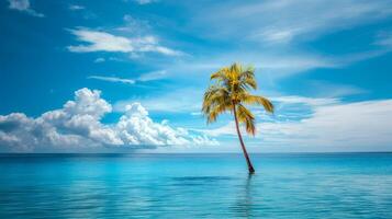 Lone palm tree in azure ocean waters. Solitary palm on vivid sea backdrop. Concept of tranquility, tropical escape, nature, vacation photo