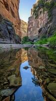 Serene canyon mirrored in a tranquil river with lush greenery. Calm gorge reflected in clear water with plants. Concept of natural beauty, tranquility, outdoor scenery, nature. Vertical photo