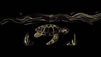 Neon frame effect single sea turtle, glow, black background. video