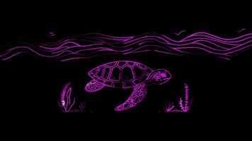 Neon frame effect single sea turtle, glow, black background. video