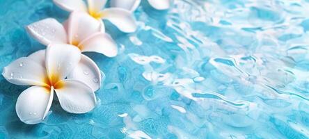 Frangipani flowers floating on blue water, refreshing and serene. Plumeria blossoms on a liquid surface, calming visual. Concept of relaxation, spa treatments, and peacefulness. Copy space photo