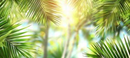 Bright summer tropical backdrop with green pastel palm leaves and bokeh effects. Trendy botanical wallpaper with soft colors. Wide banner. Copy space. Mockup for design. Sunny photo
