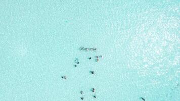 aérien vue de Maldives lagune avec groupe de nager gens dans bleu l'eau. Voyage vacances. video