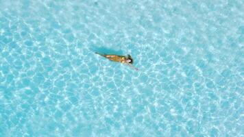 femme nage et effrayant dans tropical bleu mer. aérien Haut vers le bas vue video