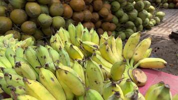 Bananas.Bunches of green bananas rotates, an interesting foreshortening, an ad shot. video