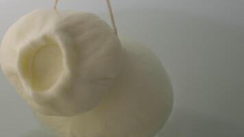 Mozzarella Caciocavalo Filling molds for the production of soft cheese. The cheese blanks are soaked in brine. Cheese factory preparing cheese video