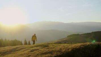 A man travels in the mountains. Beautiful nature of the Carpathian mountains. The concept of travel and active lifestyle. 4K video
