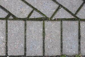 Paving Stone Texture. Walkway Bricks Pattern Structure photo