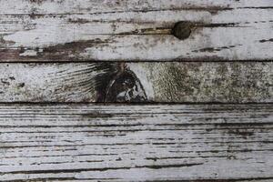 Old Wood Texture. Weathered Wooden Planks Structure. photo