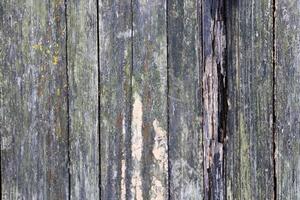 Old Wood Texture. Weathered Wooden Planks Structure. photo