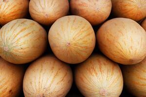 Melon row. Few juicy melon rows. Fruits sale. Berries trading photo