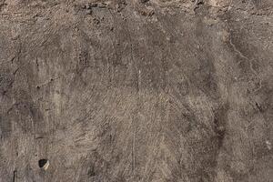 Rough Concrete Wall Texture photo