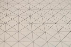 Pencil drawn grid on a notebook sheet. Flat drawn lines. photo