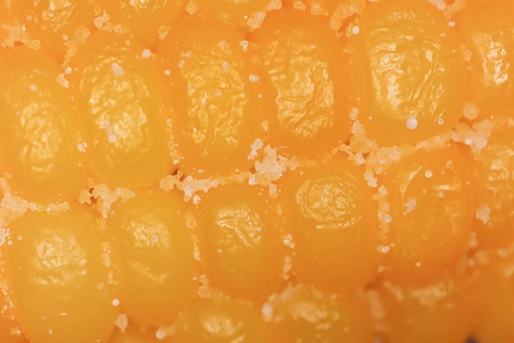 Corn Texture Stock Photos, Images and Backgrounds for Free Download