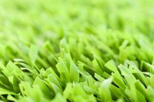 Green artificial grass texture with blurred background. Modern s photo