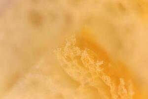 Pulp of bread macro closeup. Texture background. Slice. Corner. photo