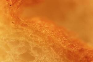 Pulp of bread macro closeup. Texture background. Slice section. photo